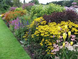 Vidarbha will become hub of herbaceous, aromatic plants! | विदर्भात वनौषधी, सुगंधी वनस्पती क्षेत्र वाढणार !