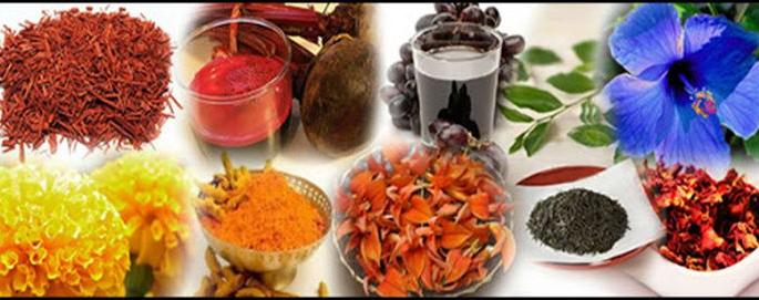 Make natural colors, enhance the fun of the festival | बनवा नैसर्गिक रंग, वाढवा रंगोत्सवाचा आनंद Make natural colors, enhance the fun of the festival | बनवा नैसर्गिक रंग, वाढवा रंगोत्सवाचा आनंद