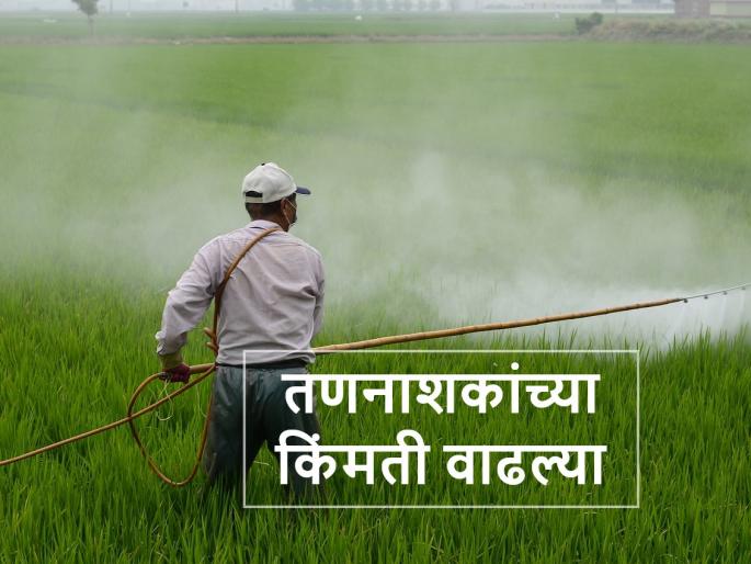 herbicide prices are increased in this kharif season | Herbicide prices: यंदाच्या खरिपात तणनाशकांच्या किंमती वाढल्या, उत्पादन खर्चही वाढणार herbicide prices are increased in this kharif season | Herbicide prices: यंदाच्या खरिपात तणनाशकांच्या किंमती वाढल्या, उत्पादन खर्चही वाढणार