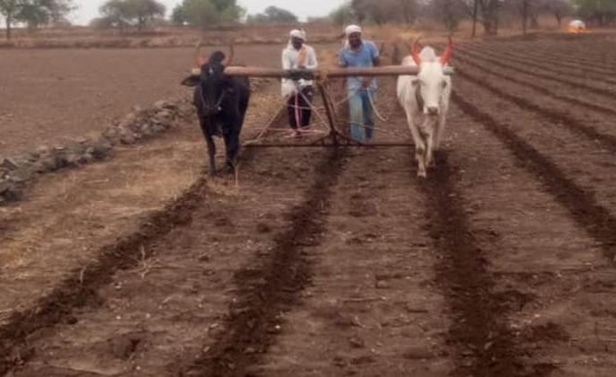 Appointment of 90 employees for the names of the farmers | हेरे सरंजाम जमिनी शेतकऱ्यांच्या नावे करण्यासाठी ११९ कर्मचाऱ्यांची नियुक्ती Appointment of 90 employees for the names of the farmers | हेरे सरंजाम जमिनी शेतकऱ्यांच्या नावे करण्यासाठी ११९ कर्मचाऱ्यांची नियुक्ती