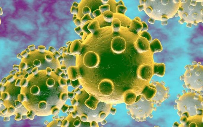 Corona defeats in the city district, reporting 90 negative | नगर जिल्ह्यात कोरोना हरतोय, ५९ जणांचे अहवाल निगेटिव्ह Corona defeats in the city district, reporting 90 negative | नगर जिल्ह्यात कोरोना हरतोय, ५९ जणांचे अहवाल निगेटिव्ह