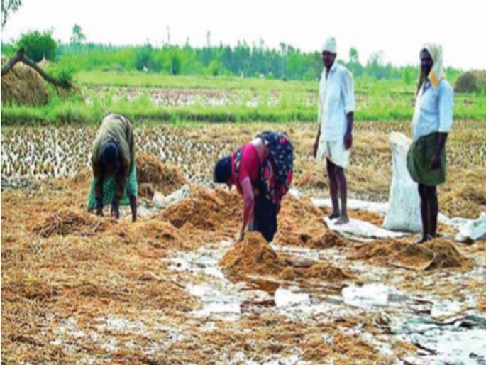 Distribution of Rs. 458 crore to the flood victims in the state | अतिवृष्टीबाधितांना राज्यात 458 कोटी रूपयांचे वाटप; ८ लाख ५५ हजार २६६ लाभार्थी Distribution of Rs. 458 crore to the flood victims in the state | अतिवृष्टीबाधितांना राज्यात 458 कोटी रूपयांचे वाटप; ८ लाख ५५ हजार २६६ लाभार्थी