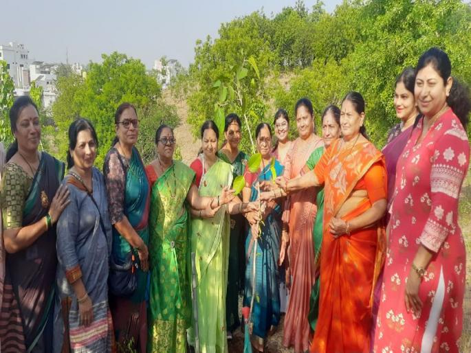 Vardhekar celebrated another Vatapurnima; Plantation of banyan trees in honor of Savitri's lekkis | वर्धेकरांनी साजरी केली आगळीवेगळी वटपौर्णिमा; सावित्रीच्या लेकींचा सन्मान करीत वटवृक्षारोपण Vardhekar celebrated another Vatapurnima; Plantation of banyan trees in honor of Savitri's lekkis | वर्धेकरांनी साजरी केली आगळीवेगळी वटपौर्णिमा; सावित्रीच्या लेकींचा सन्मान करीत वटवृक्षारोपण