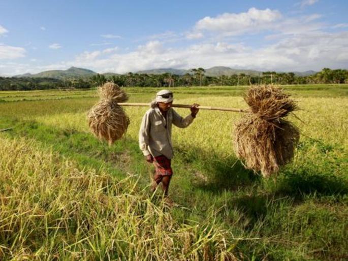 Short-term agricultural loans extended till the end of August | अल्पमुदतीच्या शेतीकर्जांना ऑगस्टअखेरपर्यंत मुदतवाढ