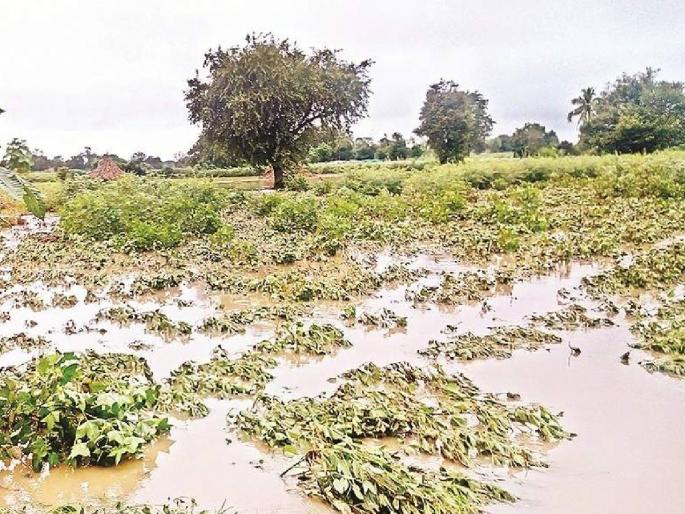 'Panchnama' of agriculture; Want 75 crores | शेतीचा 'पंचनामा'; हवे ७५ कोटी