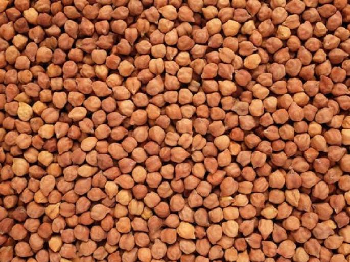 Bold gram has the highest price in this market committee, what is the situation in the rest of the market committees? | या बाजारसमितीत बोल्ड हरभऱ्याला सर्वाधिक भाव, उर्वरित बाजारसमितींमध्ये काय स्थिती? Bold gram has the highest price in this market committee, what is the situation in the rest of the market committees? | या बाजारसमितीत बोल्ड हरभऱ्याला सर्वाधिक भाव, उर्वरित बाजारसमितींमध्ये काय स्थिती?