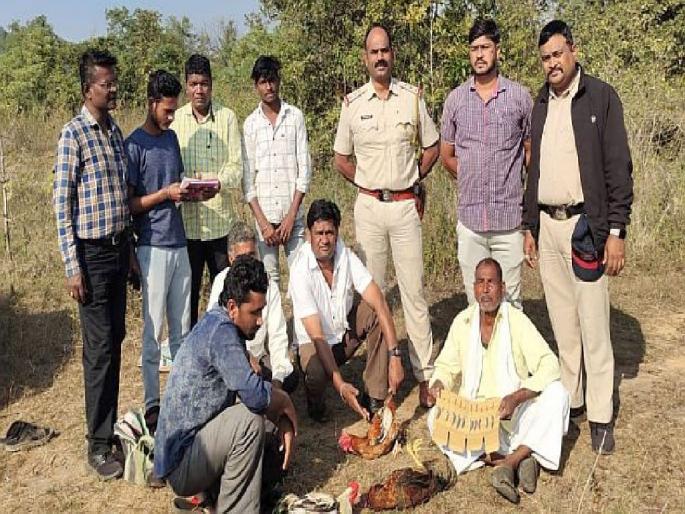Police raid on Therkar Toli chicken market; Six held for cockfighting | कोंबड बाजारावर पोलिसांची धाड; सहा जणांना अटक, कोंबड्यांसह कात्या जप्त Police raid on Therkar Toli chicken market; Six held for cockfighting | कोंबड बाजारावर पोलिसांची धाड; सहा जणांना अटक, कोंबड्यांसह कात्या जप्त