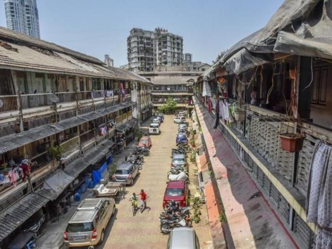 The small garden was destroyed due to a riot in the chawl | चाळीतील भांडणामुळे छोटी बाग हटविली The small garden was destroyed due to a riot in the chawl | चाळीतील भांडणामुळे छोटी बाग हटविली