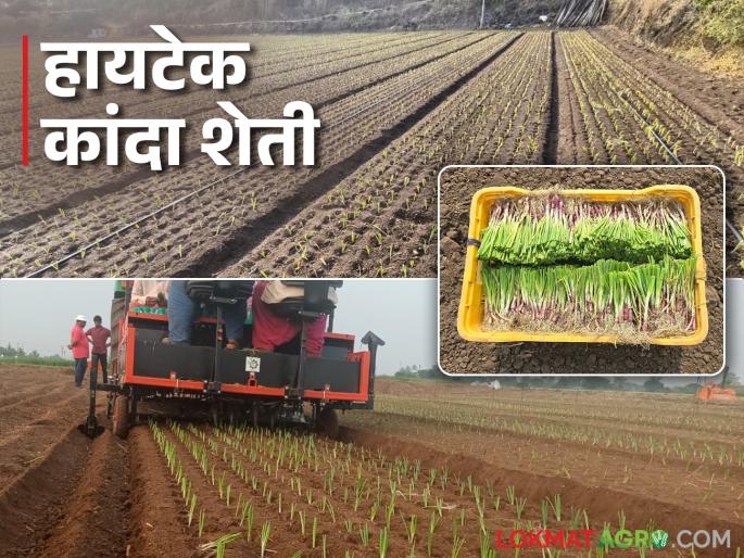 Hi Tech Onion Farming : Junnar's Hi-Tech Onion Farming; 6 laborers and 1 driver to cultivation of 1 acre of onion | Hi Tech Onion Farming : जुन्नरची हायटेक कांदा शेती; १ एकर कांदा लावण्यासाठी ६ मजूर आणि १ ड्रायव्हर Hi Tech Onion Farming : Junnar's Hi-Tech Onion Farming; 6 laborers and 1 driver to cultivation of 1 acre of onion | Hi Tech Onion Farming : जुन्नरची हायटेक कांदा शेती; १ एकर कांदा लावण्यासाठी ६ मजूर आणि १ ड्रायव्हर