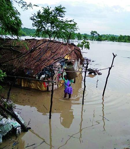 Rehabilitate Kujaba village in Nagpur district | नागपूर जिल्ह्यातील कुजबा गावाचे पुनर्वसन करा