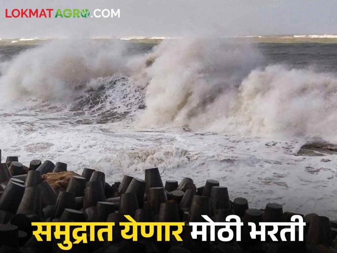 High Tide Alert, Do not go to sea, high tide for five days | High Tide Alert समुद्रात जाऊ नका, पाच दिवस मोठी भरती High Tide Alert, Do not go to sea, high tide for five days | High Tide Alert समुद्रात जाऊ नका, पाच दिवस मोठी भरती
