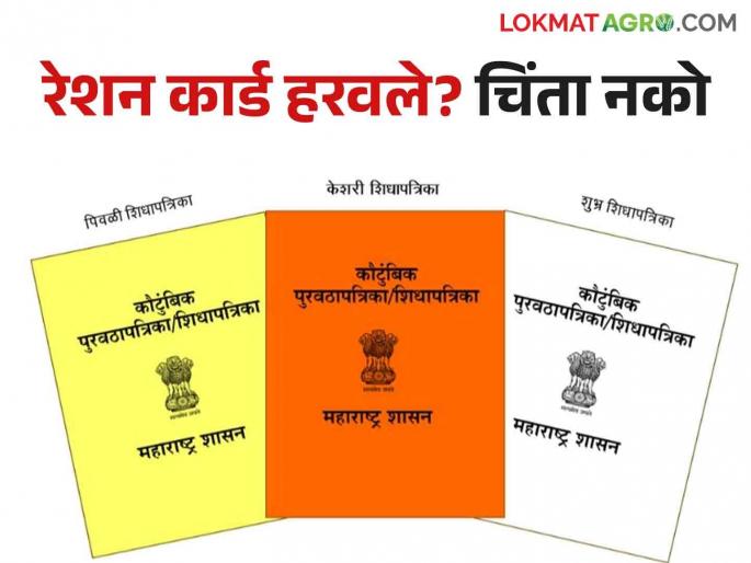 What Say Hitech Ration Card ; How to get read in detail | Hitech Ration Card : काय सांगताय हायटेक रेशनकार्ड; कसे मिळणार वाचा सविस्तर What Say Hitech Ration Card ; How to get read in detail | Hitech Ration Card : काय सांगताय हायटेक रेशनकार्ड; कसे मिळणार वाचा सविस्तर