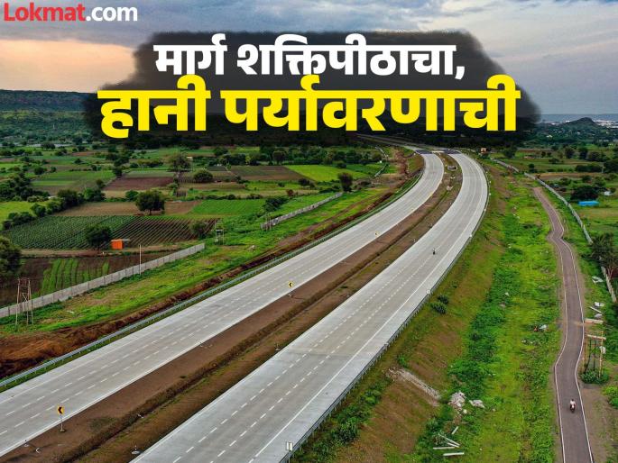 41 thousand trees were cut down in Sangli district for Ratnagiri-Nagpur highway work, now how many trees will be cut down for Shaktipeeth | ‘रत्नागिरी-नागपूर’साठी ४१ हजार झाडे तोडली; ‘शक्तिपीठ’साठी किती कत्तल? 41 thousand trees were cut down in Sangli district for Ratnagiri-Nagpur highway work, now how many trees will be cut down for Shaktipeeth | ‘रत्नागिरी-नागपूर’साठी ४१ हजार झाडे तोडली; ‘शक्तिपीठ’साठी किती कत्तल?