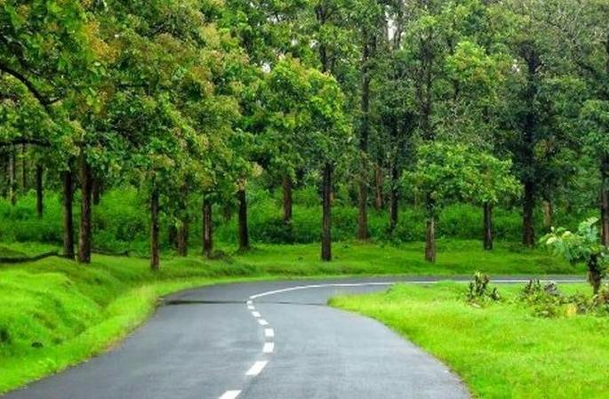 Permission for highway work in Dhalsawangi forest area | ढालसावंगी वन क्षेत्रात महामार्ग कामासाठी परवानगी Permission for highway work in Dhalsawangi forest area | ढालसावंगी वन क्षेत्रात महामार्ग कामासाठी परवानगी