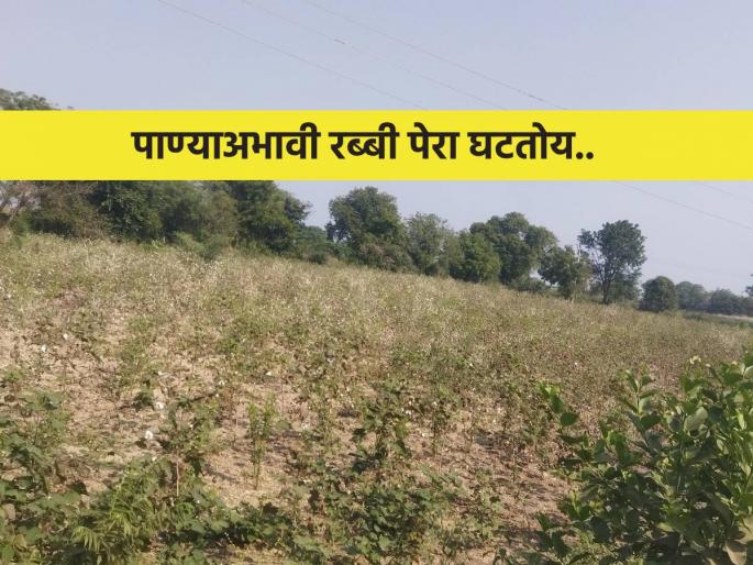 Rabi sowing is decreasing due to lack of water in the border villages | सीमेवरील गावांत पाण्याअभावी रब्बी पेरा घटतोय Rabi sowing is decreasing due to lack of water in the border villages | सीमेवरील गावांत पाण्याअभावी रब्बी पेरा घटतोय