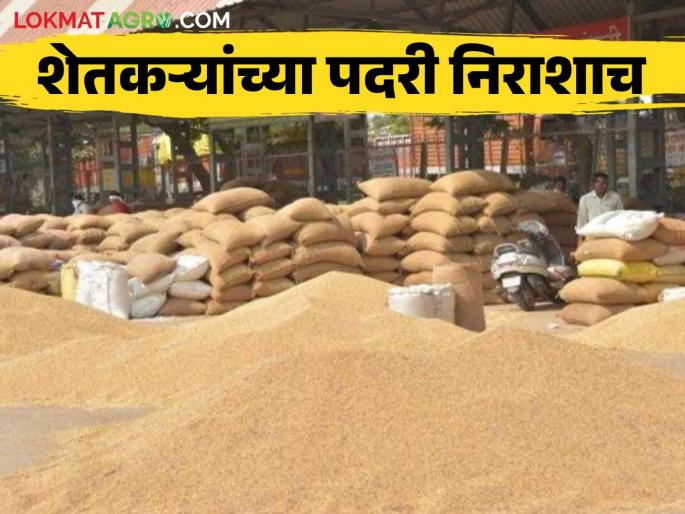 Market: The auction of agricultural goods is smooth after seven days in the market committee's frenzy! | Market : बाजार समितीच्या मोंढ्यात सात दिवसानंतर शेतमालाचा लिलाव सुरळीत!
