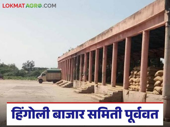 Market Yard: Hingoli Market Committee restored; Soybean arrivals increased Read in detail | Market Yard : हिंगोली बाजार समिती पूर्ववत; सोयाबीनची आवक वाढली वाचा सविस्तर Market Yard: Hingoli Market Committee restored; Soybean arrivals increased Read in detail | Market Yard : हिंगोली बाजार समिती पूर्ववत; सोयाबीनची आवक वाढली वाचा सविस्तर