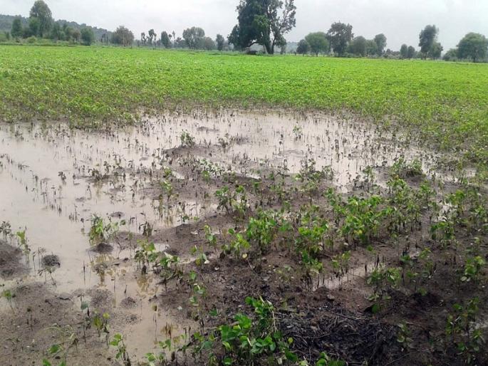 Stormy rain lashed Vidarbha, Marathwada again, crops were damaged in places, trees were uprooted. | विदर्भ, मराठवाड्याला पुन्हा वादळी पावसाने झोडपले, ठिकठिकाणी पिके झाली आडवी Stormy rain lashed Vidarbha, Marathwada again, crops were damaged in places, trees were uprooted. | विदर्भ, मराठवाड्याला पुन्हा वादळी पावसाने झोडपले, ठिकठिकाणी पिके झाली आडवी