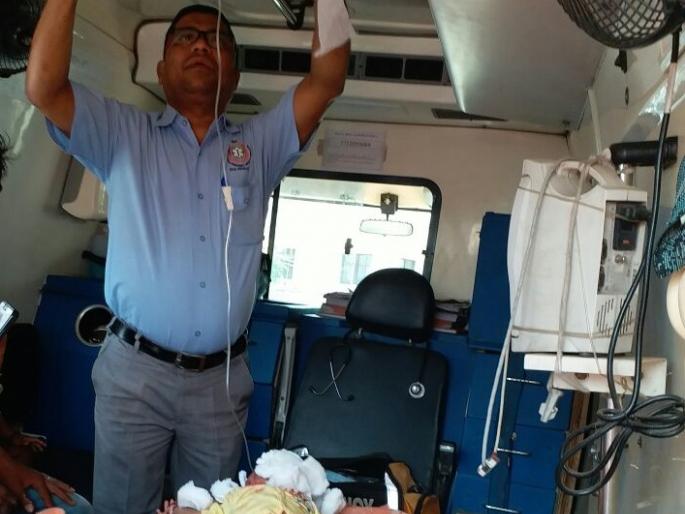 Dissecting! In Hingoli doge bites one-a-half-year-old boy | विदारक ! हिंगोलीत दिड महिन्याच्या बालकाचे कुत्र्याने तोडले लचके Dissecting! In Hingoli doge bites one-a-half-year-old boy | विदारक ! हिंगोलीत दिड महिन्याच्या बालकाचे कुत्र्याने तोडले लचके