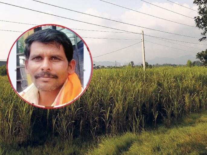 A farmer died after being shocked by a broken power line while spraying the field | शेतात फवारणी करताना तुटून पडलेल्या वीज तारेचा धक्का लागून शेतकऱ्याचा मृत्यू A farmer died after being shocked by a broken power line while spraying the field | शेतात फवारणी करताना तुटून पडलेल्या वीज तारेचा धक्का लागून शेतकऱ्याचा मृत्यू