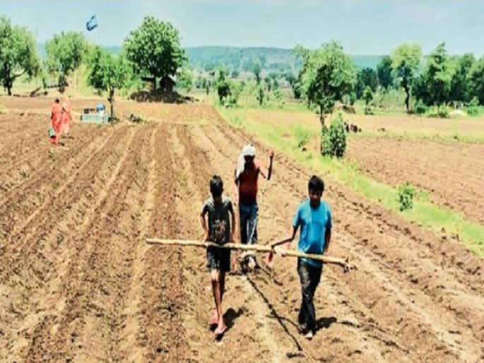 Brother and niece took yoke on their shoulders as they could not afford bullocks | बैल परवडत नाही म्हणून भाऊ आणि भाच्यानी खांद्यावर घेतले ‘जू’, पैसे आणायचे कुठून?   Brother and niece took yoke on their shoulders as they could not afford bullocks | बैल परवडत नाही म्हणून भाऊ आणि भाच्यानी खांद्यावर घेतले ‘जू’, पैसे आणायचे कुठून?