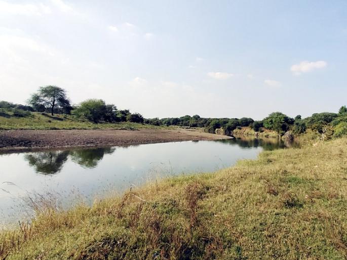 The existence of the river is threatened due to uncontrolled sand subsidence | बेफाम वाळू उपशामुळे नदीचे अस्तित्व धोक्यात The existence of the river is threatened due to uncontrolled sand subsidence | बेफाम वाळू उपशामुळे नदीचे अस्तित्व धोक्यात