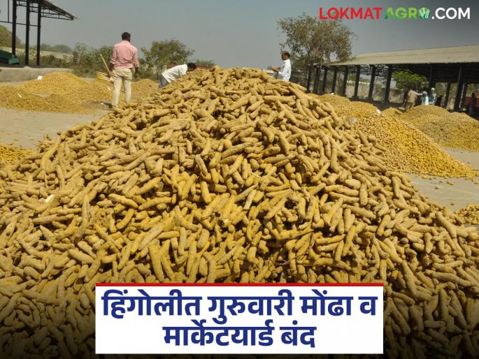 latest news Hingoli Market Yard: Agricultural goods trading will be closed tomorrow in Hingoli Market Yard; Read the reason in detail | Hingoli Market Yard : हिंगोली बजारात उद्या शेतमाल व्यवहार बंद; काय आहे कारण वाचा सविस्तर