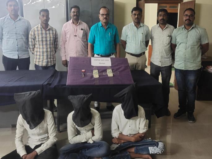 Thieves caught after checking CCTV footage at 40 locations; Action by local crime branch | रेकी करून म्हशी लांबविल्या! ४० ठिकाणी सीसीटीव्ही फुटेज तपासून चोरट्यांना पकडले; स्थानिक गुन्हे शाखेची कारवाई 