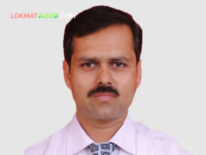 Vinay Kumar Awte has been appointed as the Director of Extension Training Agriculture Department | कृषी विभागाच्या विस्तार प्रशिक्षण संचालकपदी विनयकुमार आवटे यांची वर्णी Vinay Kumar Awte has been appointed as the Director of Extension Training Agriculture Department | कृषी विभागाच्या विस्तार प्रशिक्षण संचालकपदी विनयकुमार आवटे यांची वर्णी