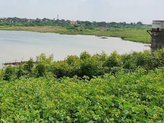 Experiment to take Ujani water in Hipparga Lake successful | उजनीचे पाणी हिप्परगा तलावात घेण्याचा प्रयोग यशस्वी Experiment to take Ujani water in Hipparga Lake successful | उजनीचे पाणी हिप्परगा तलावात घेण्याचा प्रयोग यशस्वी