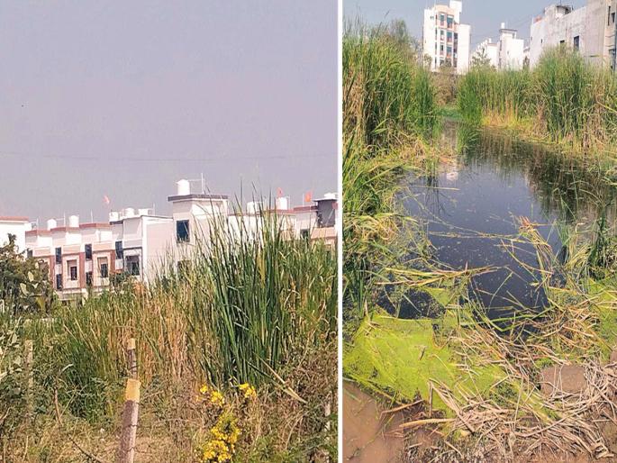Only big buildings in Hirapur area; But drainage and garbage remains same | हिरापूर परिसरात नुसत्याच टोलेजंग इमारती; पण ड्रेनेज अन् कचऱ्याची बोंब Only big buildings in Hirapur area; But drainage and garbage remains same | हिरापूर परिसरात नुसत्याच टोलेजंग इमारती; पण ड्रेनेज अन् कचऱ्याची बोंब
