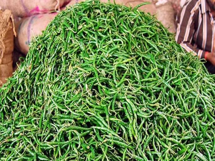Price hike for green chillies with garlic, cabbage; 90 to 100 truckloads of fruits and vegetables | Pune: लसूण, कोबीसह हिरवी मिरचीला दरवाढीचा तडका; ९० ते १०० ट्रक फळभाज्यांची आवक Price hike for green chillies with garlic, cabbage; 90 to 100 truckloads of fruits and vegetables | Pune: लसूण, कोबीसह हिरवी मिरचीला दरवाढीचा तडका; ९० ते १०० ट्रक फळभाज्यांची आवक