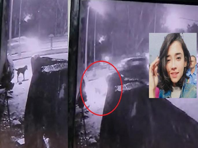 Chandigarh Hit And Run Case: Hit and run... 25-year-old girl who was giving biscuits to a dog, was hit by THAR | Chandigarh Hit And Run Case: हिट अँड रन...कुत्र्याला बिस्कीट देत होती 25 वर्षीय तरुणी, भरधाव थारने उडवलं Chandigarh Hit And Run Case: Hit and run... 25-year-old girl who was giving biscuits to a dog, was hit by THAR | Chandigarh Hit And Run Case: हिट अँड रन...कुत्र्याला बिस्कीट देत होती 25 वर्षीय तरुणी, भरधाव थारने उडवलं