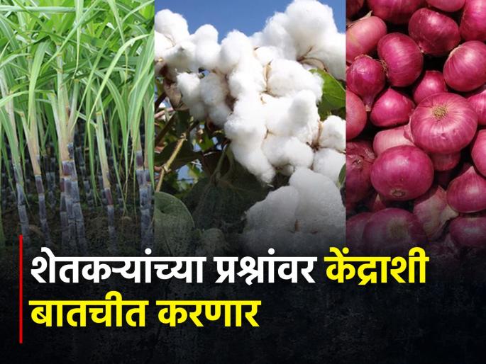 Milk, orange, cotton, sugarcane, onion producers will soon find a way out on the farmers' issues | दूध, संत्रा, कापूस, ऊस, कांदा उत्पादक शेतकऱ्यांच्या प्रश्नांवर लवकरच मार्ग काढणार
