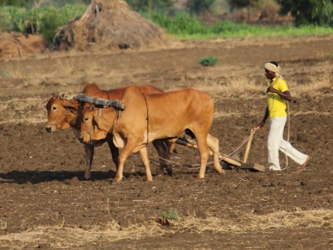 A drought cannot be declared at the end of September; There is still hope that the deficit will be covered by the grace of Varunaraja | सप्टेंबरअखेर तरी दुष्काळ जाहीर करता येणार नाही; वरूणराजाची कृपा होऊन तूट भरुन निघण्याची अजूनही आशा A drought cannot be declared at the end of September; There is still hope that the deficit will be covered by the grace of Varunaraja | सप्टेंबरअखेर तरी दुष्काळ जाहीर करता येणार नाही; वरूणराजाची कृपा होऊन तूट भरुन निघण्याची अजूनही आशा