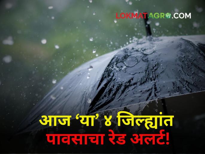 Maharashtra Rain Red alert of rain in these 4 districts today How much rain will fall in the state? | Maharashtra Rain : आज राज्यात कुठे किती पडणार पाऊस? 'या' ४ जिल्ह्यांसाठी रेड अलर्ट जारी! Maharashtra Rain Red alert of rain in these 4 districts today How much rain will fall in the state? | Maharashtra Rain : आज राज्यात कुठे किती पडणार पाऊस? 'या' ४ जिल्ह्यांसाठी रेड अलर्ट जारी!