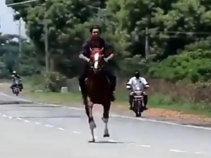 Horse ride on highway in lockdown: Video of Karnataka BJP MLA’s son goes viral hrb | धक्कादायक! लॉकडाऊनमध्ये भाजपा आमदार पुत्राची महामार्गावर घोडेस्वारी Horse ride on highway in lockdown: Video of Karnataka BJP MLA’s son goes viral hrb | धक्कादायक! लॉकडाऊनमध्ये भाजपा आमदार पुत्राची महामार्गावर घोडेस्वारी