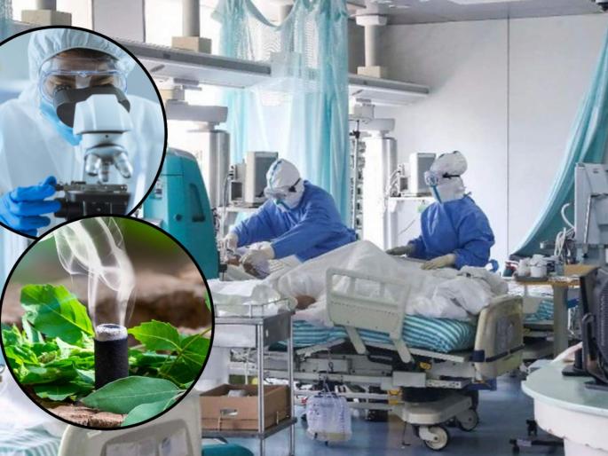 corona protection by herbal dhoop study done by bhu shows result while expert in delhi support study | CoronaVirus News : धूप जलाओ, व्हायरस भगाओ! कोरोनापासून बचाव करण्यासाठी हर्बल धूप करणार मदत; जाणून घ्या, कसं? corona protection by herbal dhoop study done by bhu shows result while expert in delhi support study | CoronaVirus News : धूप जलाओ, व्हायरस भगाओ! कोरोनापासून बचाव करण्यासाठी हर्बल धूप करणार मदत; जाणून घ्या, कसं?