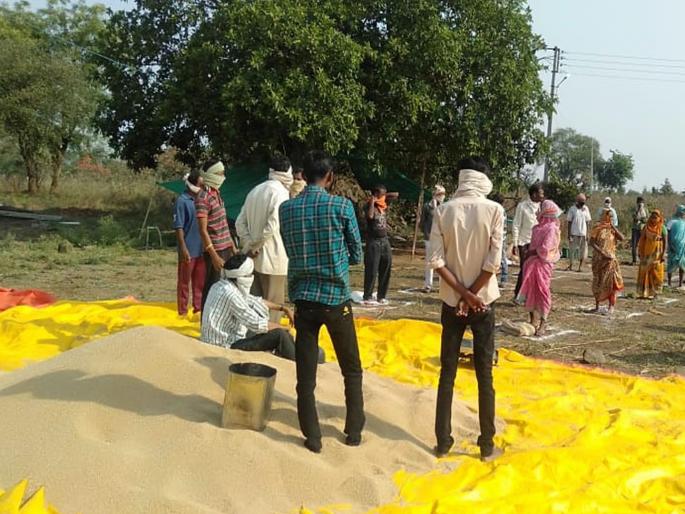 CoronaVirus: farmer distribute 15 quintals wheat free to workers, needy persons hrb | CoronaVirus: काळीज लागते! शेतकऱ्याने पिकवलेला १५ क्विंटल गहू मोफत वाटला CoronaVirus: farmer distribute 15 quintals wheat free to workers, needy persons hrb | CoronaVirus: काळीज लागते! शेतकऱ्याने पिकवलेला १५ क्विंटल गहू मोफत वाटला