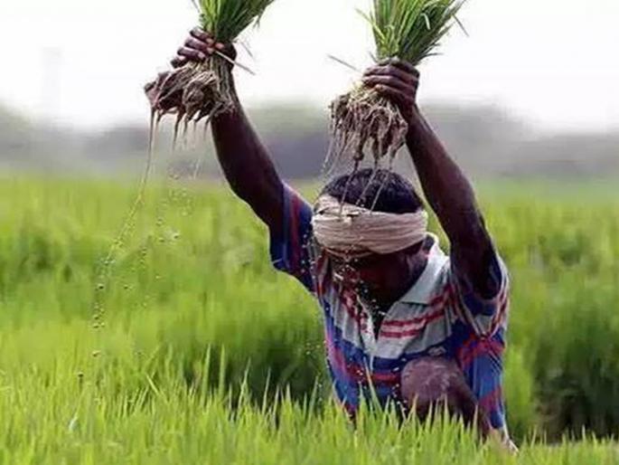 Crop insurance amount will be paid assuming panchnama | पंचनामे गृहित धरून पीकविम्याची रक्कम देणार Crop insurance amount will be paid assuming panchnama | पंचनामे गृहित धरून पीकविम्याची रक्कम देणार
