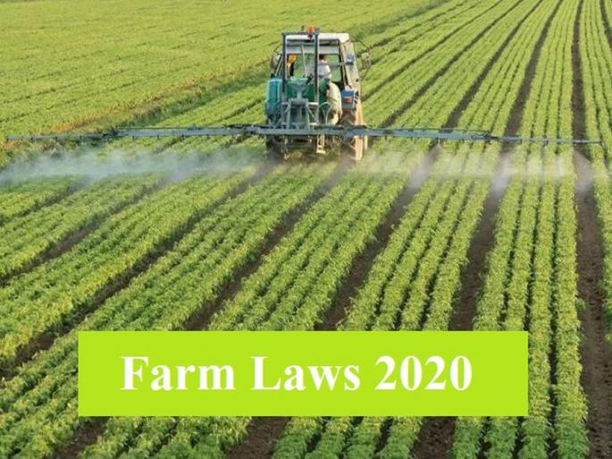 There is no implementation of central agricultural laws | केंद्रीय कृषी कायद्यांची अंमलबजावणी नाही There is no implementation of central agricultural laws | केंद्रीय कृषी कायद्यांची अंमलबजावणी नाही