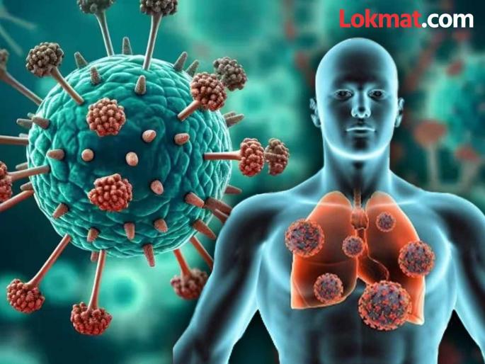 Human Metapneumovirus (HMPV) : Should China be blamed for old viruses? | जुन्या पुराण्या व्हायरससाठी चीनला दोष द्यायचा का? Human Metapneumovirus (HMPV) : Should China be blamed for old viruses? | जुन्या पुराण्या व्हायरससाठी चीनला दोष द्यायचा का?