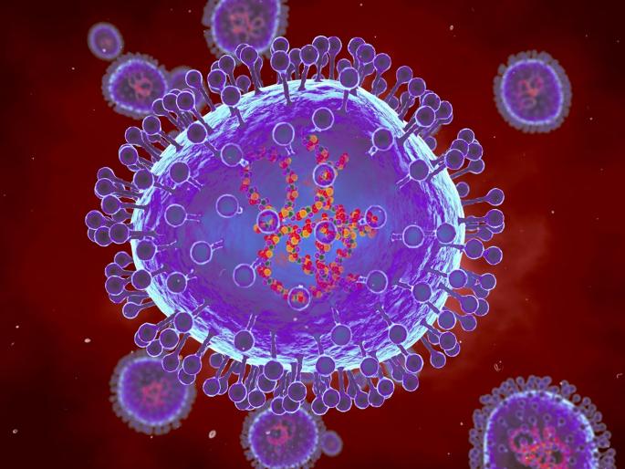 Don't panic, 'HMPV' is a seasonal disease, but precautions are necessary; take these precautions | नाहक भीती नको, ‘एचएमपीव्ही’ हा हंगामी रोग, पण खबरदारी गरजेची; अशी घ्या काळजी Don't panic, 'HMPV' is a seasonal disease, but precautions are necessary; take these precautions | नाहक भीती नको, ‘एचएमपीव्ही’ हा हंगामी रोग, पण खबरदारी गरजेची; अशी घ्या काळजी