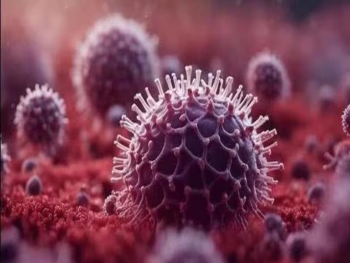 New virus, don't panic; be alert! District hospitals in the state are on alert | HMPV Virus: नवा व्हायरस, घाबरू नका; सतर्क राहा! राज्यातील जिल्हा रुग्णालये सतर्क New virus, don't panic; be alert! District hospitals in the state are on alert | HMPV Virus: नवा व्हायरस, घाबरू नका; सतर्क राहा! राज्यातील जिल्हा रुग्णालये सतर्क