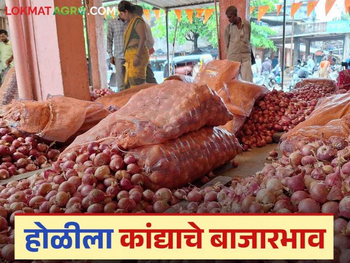 Latest News Kanda Bajarabhav Arrival of summer onions in Pune, today onion market price on Holi? | Kanda Bajarbhav : पुण्यात उन्हाळ कांद्याची आवक, होळीला कांद्याला काय भाव मिळाला? Latest News Kanda Bajarabhav Arrival of summer onions in Pune, today onion market price on Holi? | Kanda Bajarbhav : पुण्यात उन्हाळ कांद्याची आवक, होळीला कांद्याला काय भाव मिळाला?