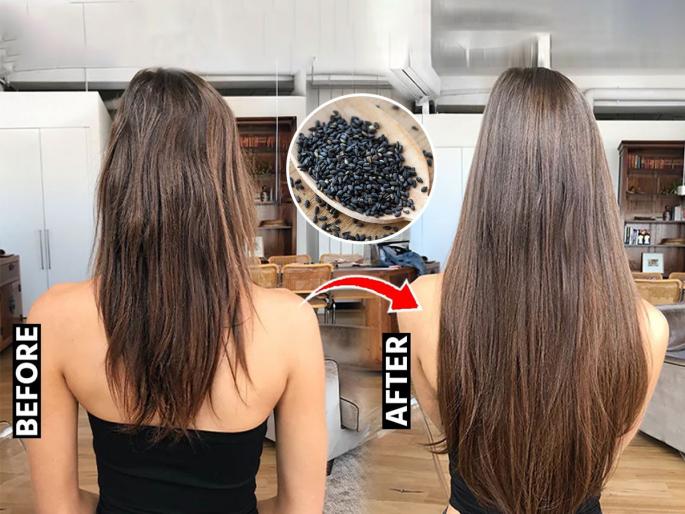 best home hacks for long hair, home remedies to stop hair fall, home hacks for hair growth  | काही केल्या केस गळणं थांबेना? 'या' काळ्या बिया खा, केस होतील दाट, लांब 
