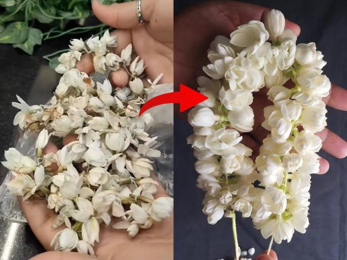 home hacks to keep garland or gajra fresh for long? how to store flower mala for long | ६- ७ दिवस गजरे राहतील फ्रेश, सुगंधी- बघा नवरात्रीमध्ये घरोघरी उपयोगी येणारी खास ट्रिक