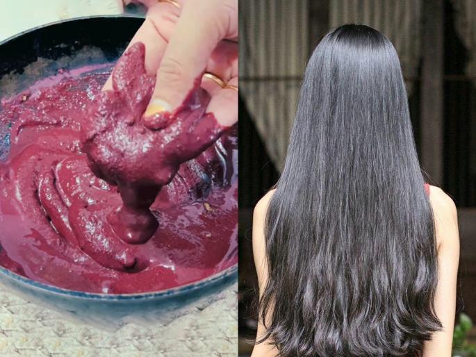 best home made shampoo for controlling hair fall and graying of hair | केस ना गळणार, ना पांढरे होणार! 'हा' घरगुती शाम्पू वापरा- विकतच्या महागड्या शाम्पूंपेक्षा भारी असरदार