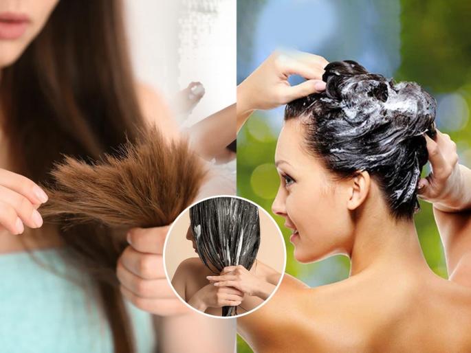 home remedies for split ends split ends treatment at home natural remedies for split ends how to repair split ends naturally homemade hair mask for split ends | केसांना फाटे फुटणे थांबवा! रुक्ष - निस्तेज केसांसाठी ५ सोपे घरगुती उपाय - केस होतील लांबसडक, दाट... home remedies for split ends split ends treatment at home natural remedies for split ends how to repair split ends naturally homemade hair mask for split ends | केसांना फाटे फुटणे थांबवा! रुक्ष - निस्तेज केसांसाठी ५ सोपे घरगुती उपाय - केस होतील लांबसडक, दाट...