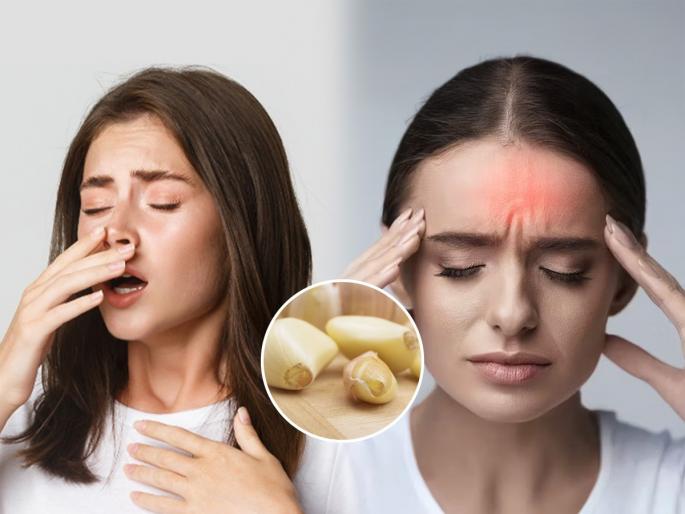 Use a clove of garlic in this way, you will get quick relief from cold and cough , home remedies | लसणाच्या एका पाकळीचा 'असा' करा उपयोग, हवा बदलताना होणाऱ्या सर्दी-खोकल्यापासून चटकन मिळेल आराम